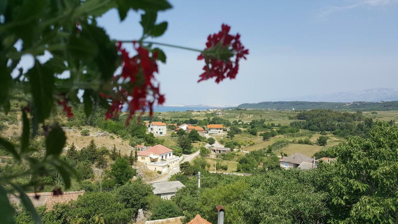 Apartment Cernesa Ražanac Dış mekan fotoğraf