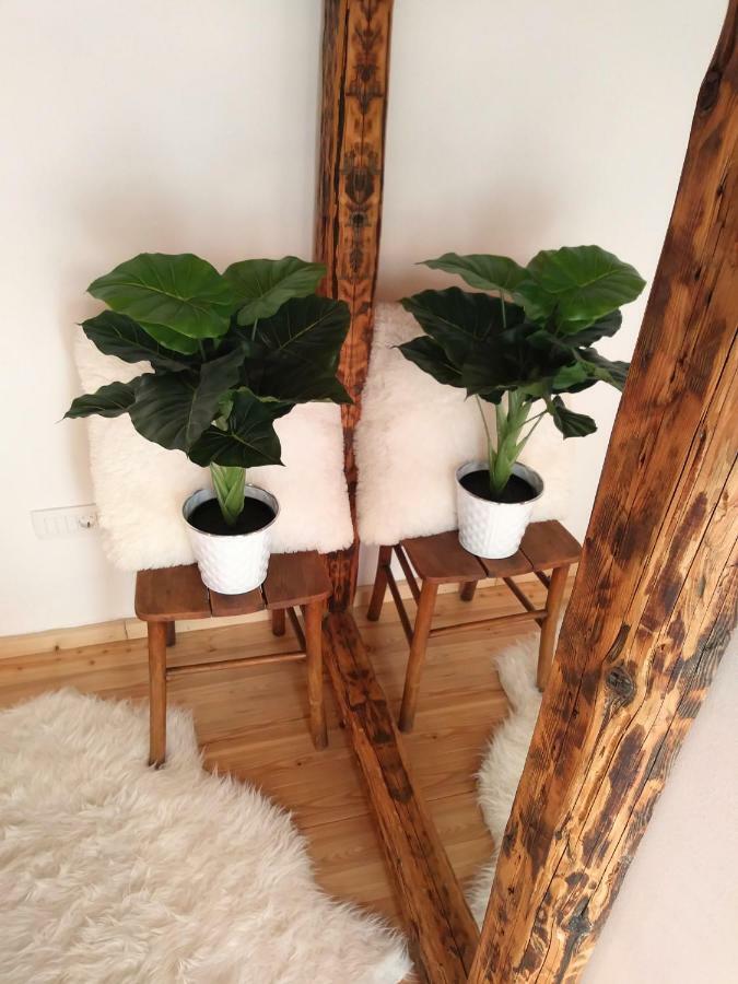 Apartment Cernesa Ražanac Dış mekan fotoğraf
